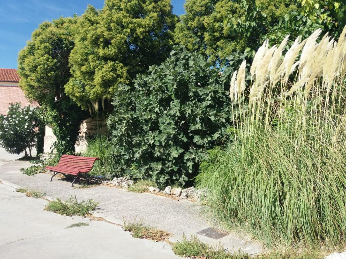 Casa Rural De Anil - Jardin Privado Velliza エクステリア 写真